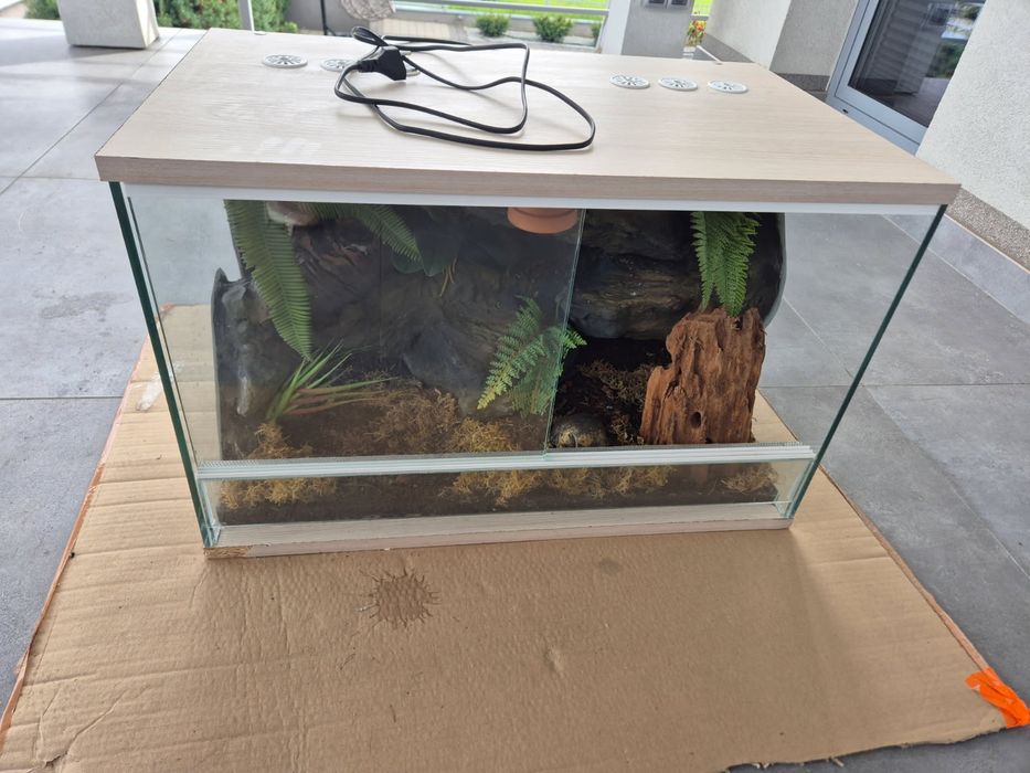 Terrarium z wyposażeniem