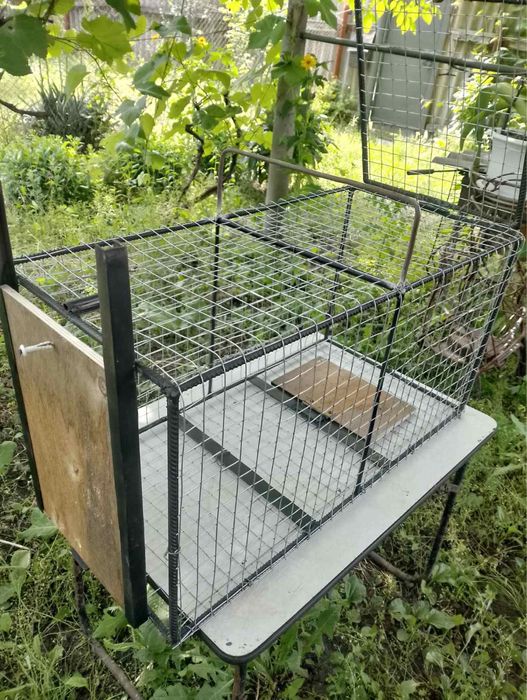 Ловушка на хищников