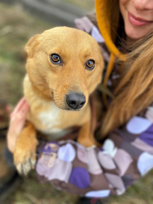 Две невероятных девочки ищут самых лучших родителей!