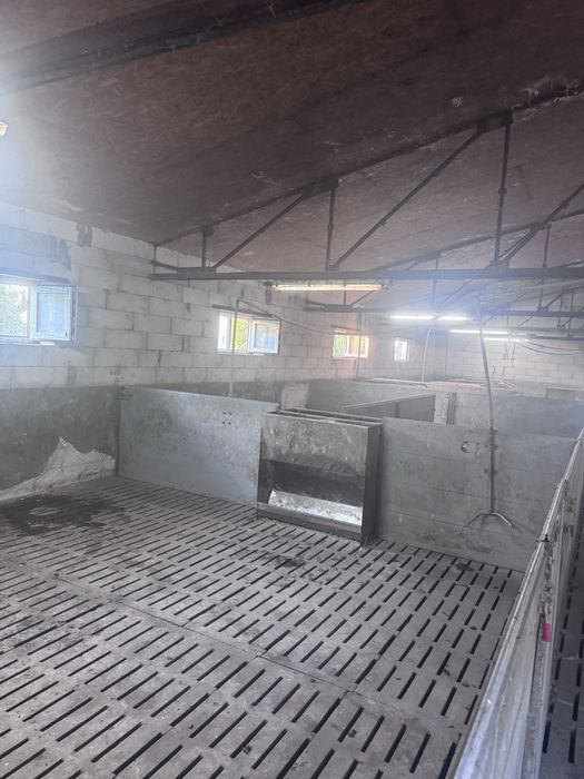 Продаж свиноферми 200м кв.