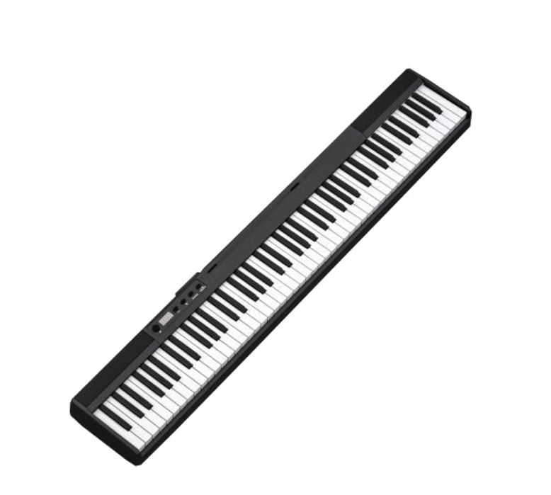 casio cdp s100 we, casio cdp s100, casio cdp s110, nux npk 10, npk 20