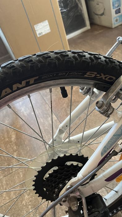 Дитячий велосипед Giant Areva 20, 5-9 років