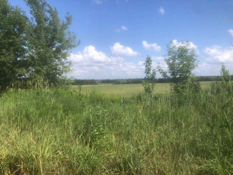 С.Хотів. вул.Промислова, ділянка 1 га. Продаж.