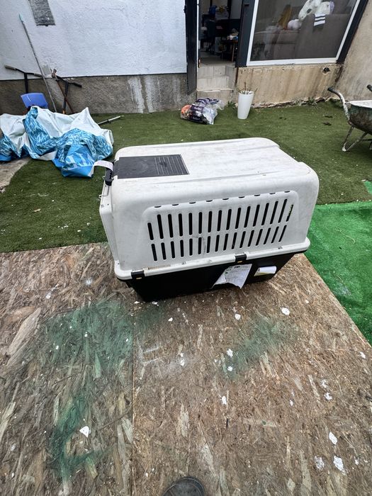 Caixa de transponte cão