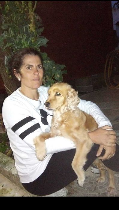 Apoio domiciliário / passeios com animais