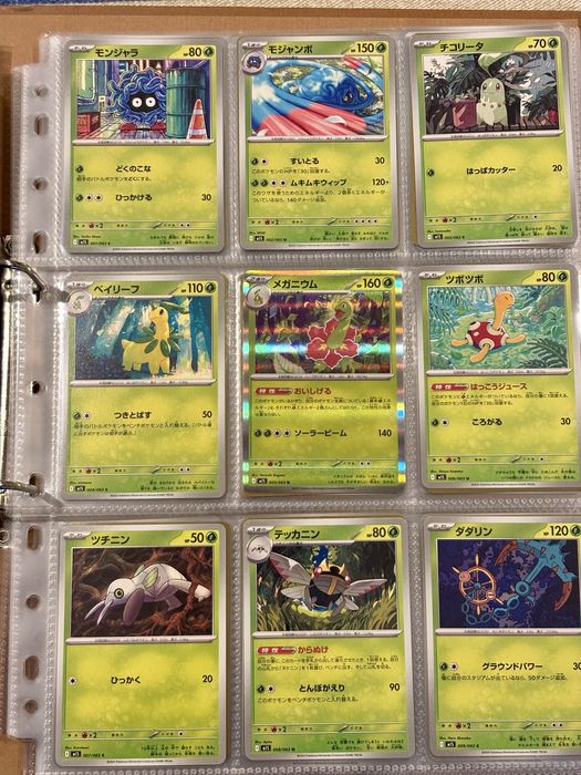 Coleção semi-completa de cartas Pokemon - Mega Gardevoir (2025)
