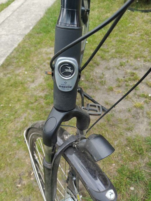Gazelle Orange C7+