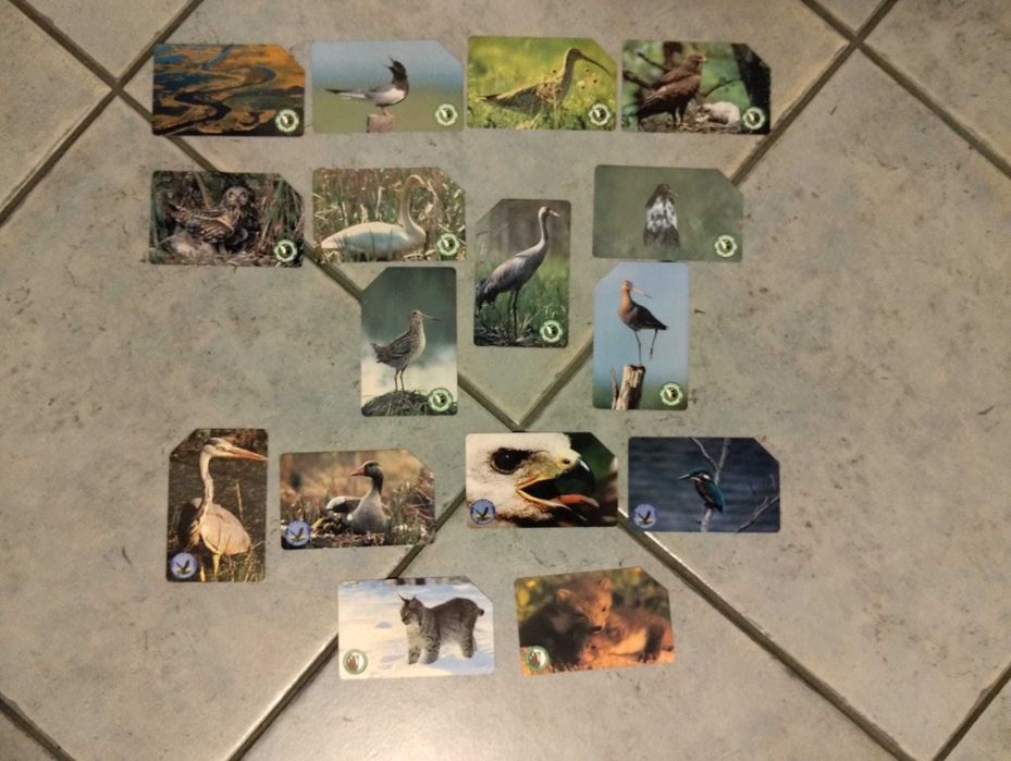 Karty telefoniczne: Biebrzański, Białowieski, Narwiański Park Narodowy