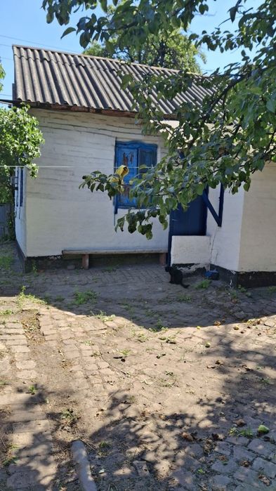 Здам скромний будинок у місті Кам‘янське