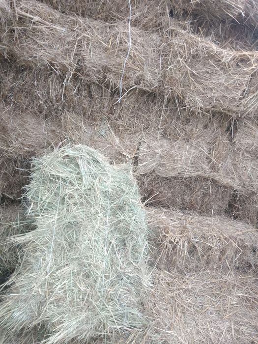 Продам луговое сено