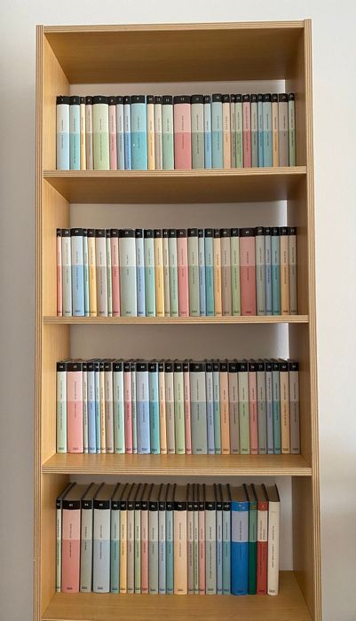 Coleção completa livros Público