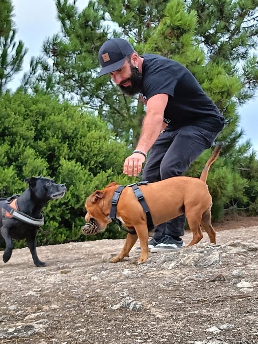Petsitting zona Oeste