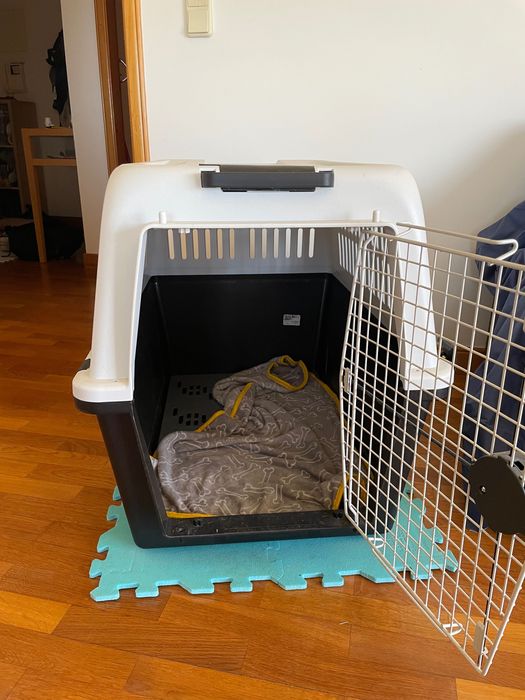 Transportadora para cão