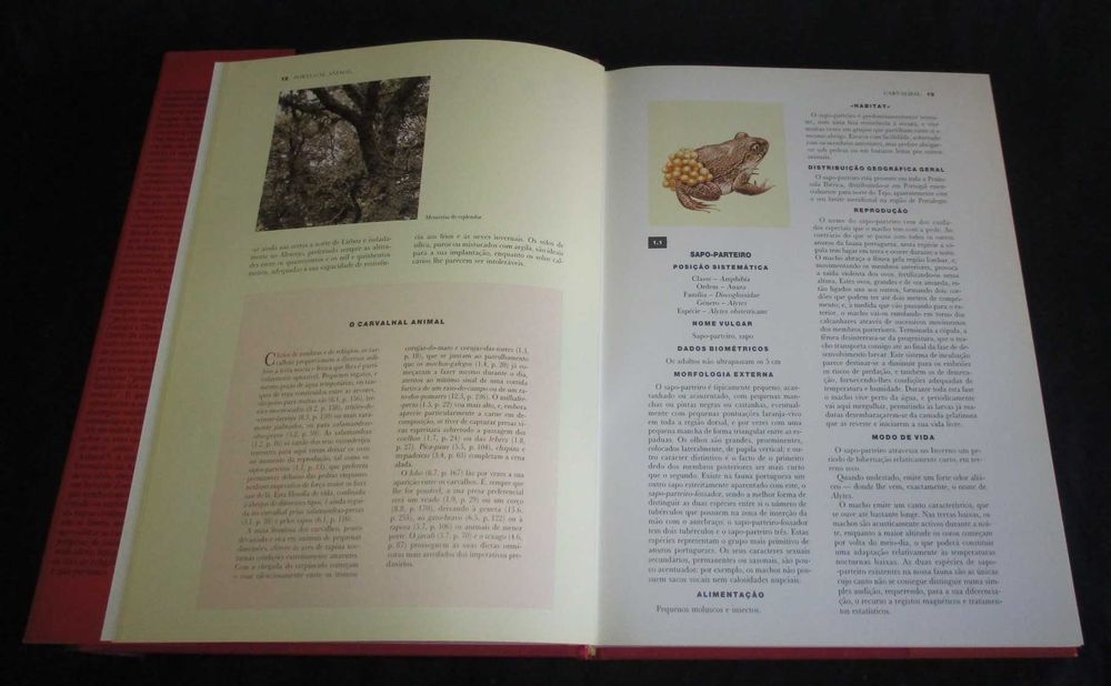 Livro Portugal Animal Clara Pinto Correia António José Cidadão