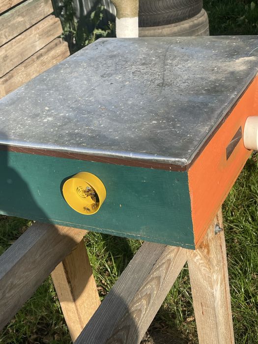 Вулик. Нуклеус 145 рамка. Облетник