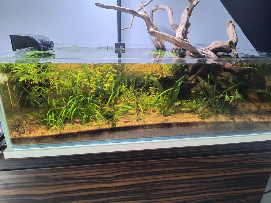 Akwarium69x39x20