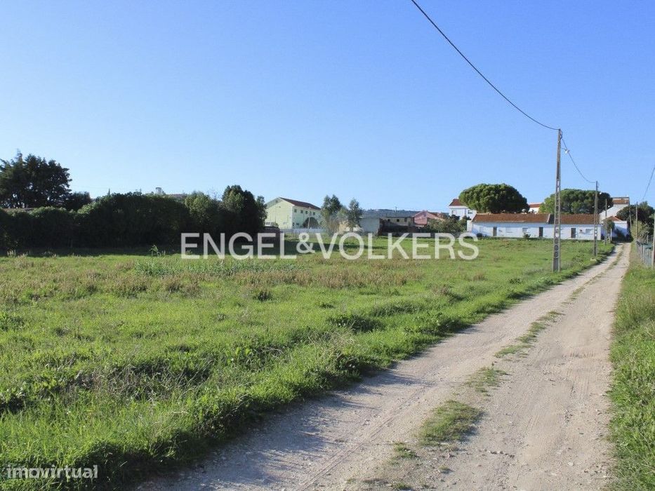 Terreno para construção residencial no Tojal