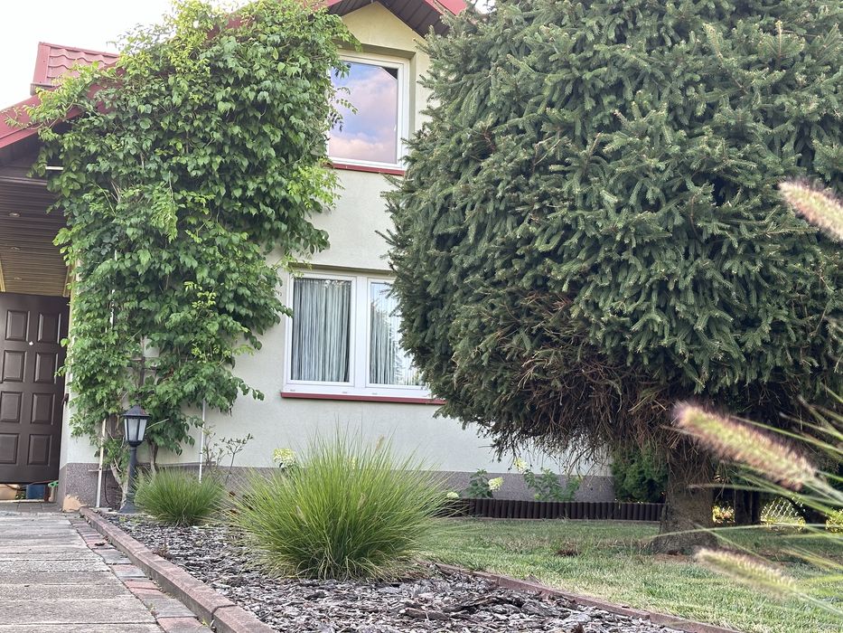 Działka ROD 370 m² z murowanym domkiem – gotowa do użytkowania