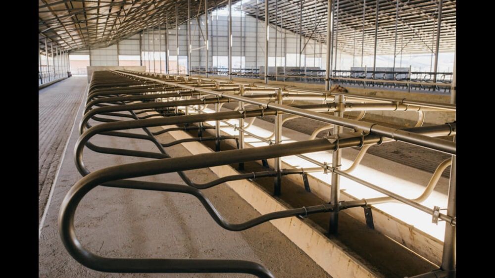 Ангар, склад, ферма, колони. Корівник 60*182*4,5*14(коровник).