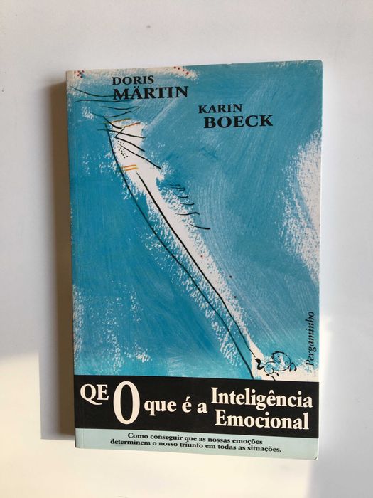 O que é a Inteligência Emocional   NOVO