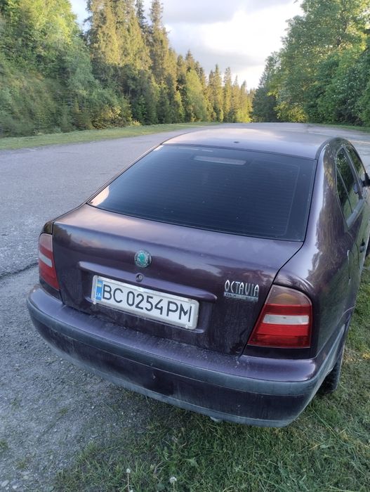 Skoda Octavia tour