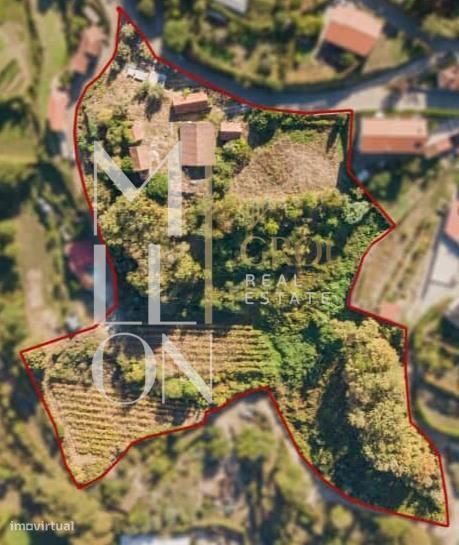 Quinta para venda em Jazente (Amarante)