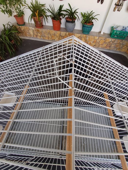 Gaiola Para Papagaio