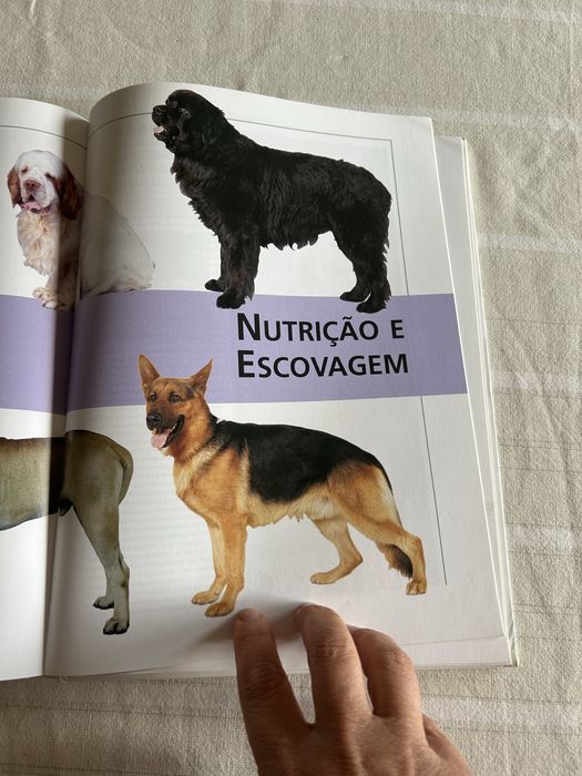O grande livro do cão