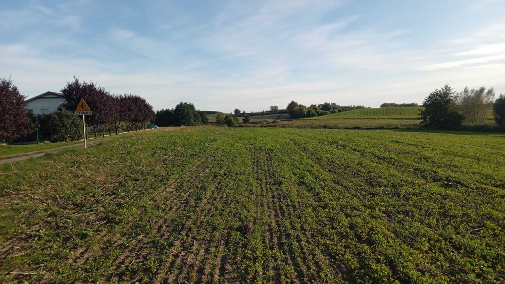 Działka budowlana Koślinka Sztum Malbork - Widok 4