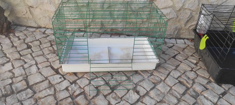gaiola jaula roedores