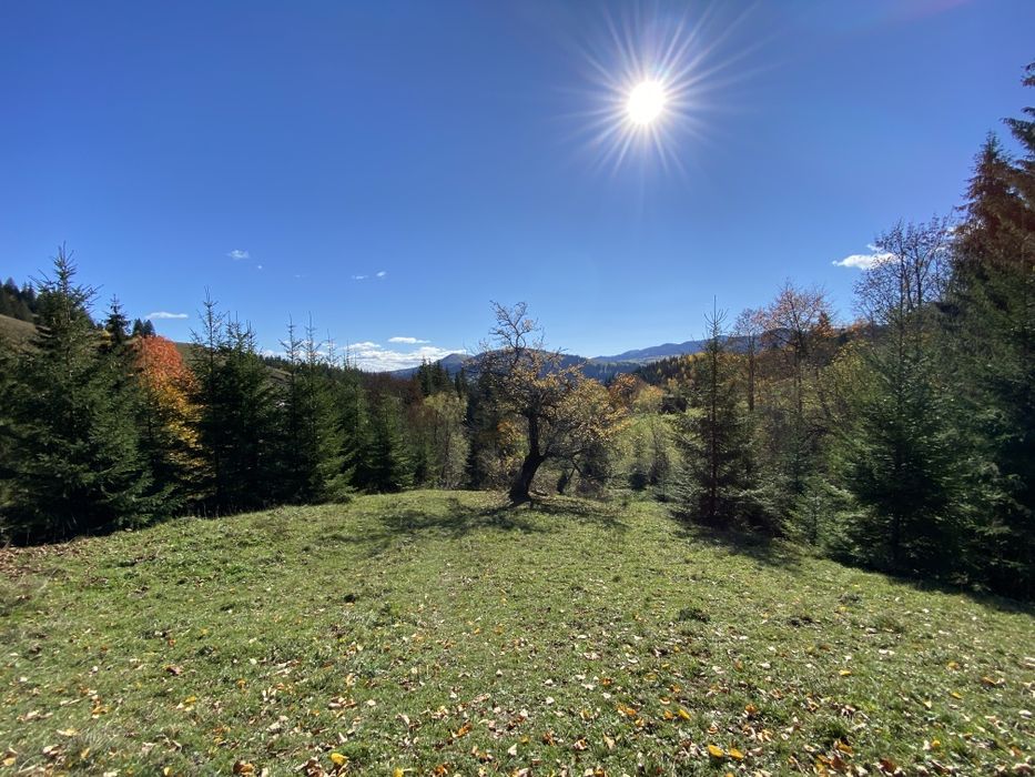 З двох сторін потічки. З трьох сторін дерева. Гарний заїзд