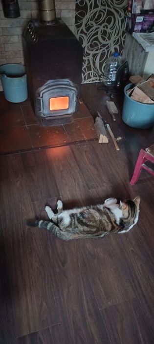 Продам добротний будинок