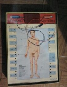 Jogo eletronico “conhece o teu corpo”