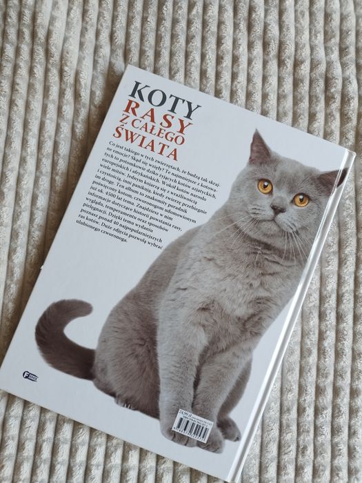 Koty rasy z całego świata