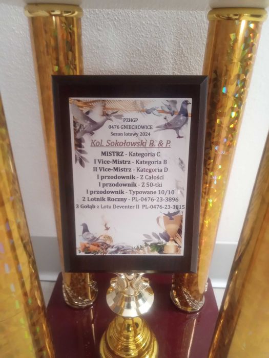 Sprzedam gołębie pocztowe