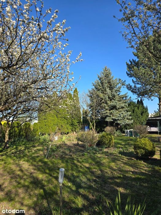 Działka budowlana w Białołęce, ogrodzona - Widok 5