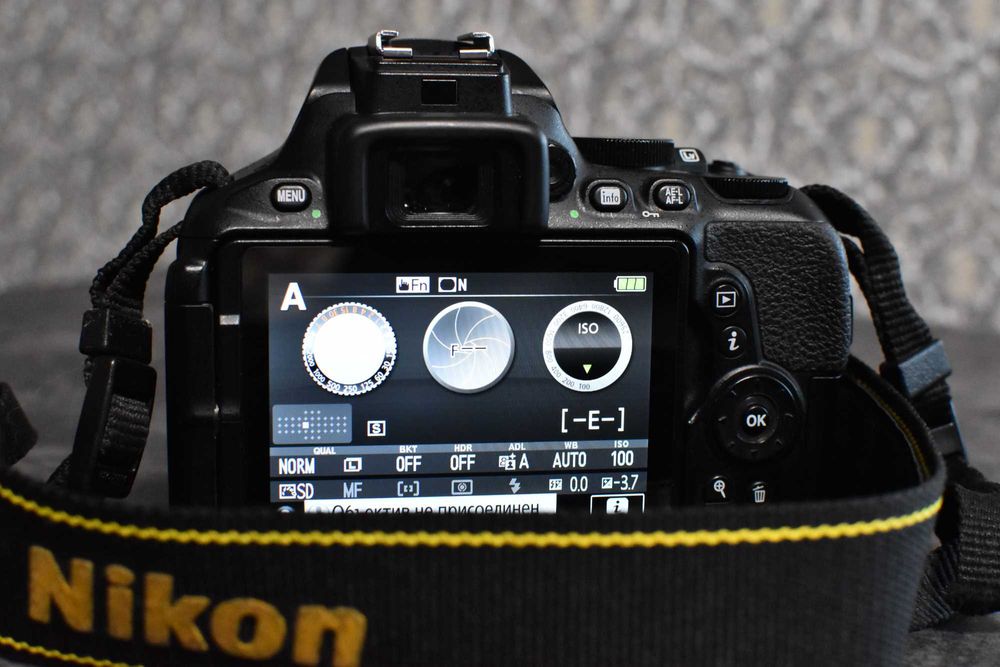 Фотоапарат Nikon d5600 з Nikon 18-55mm f/3.5-5.6 G AF-P DX