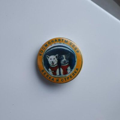 Космонавты Белка и Стрелка значок космонавтика СССР