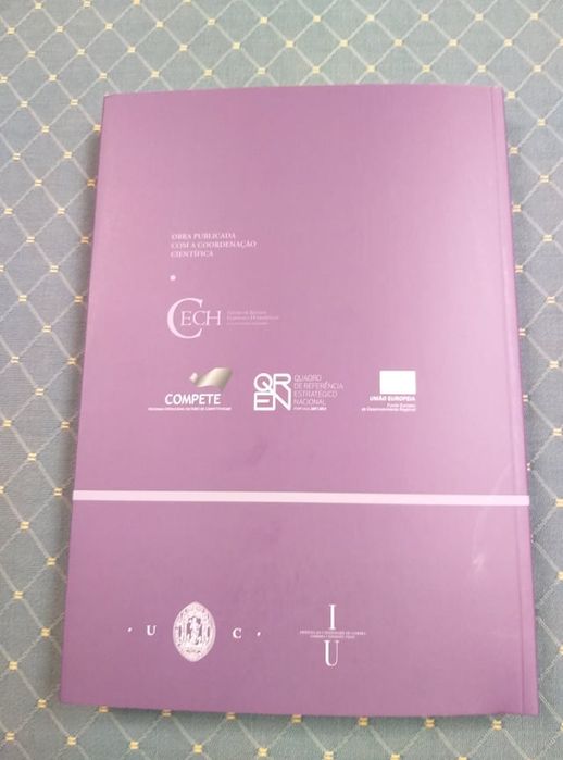 Ensaios sobre Mário de Carvalho