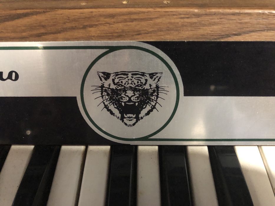 Eko Tiger Duo - Teclado / Órgão Analógico Vintage