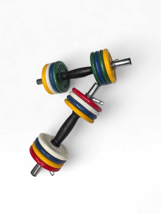 Conjunto Halteres Ajustáveis Salter “Mancuernas Junior” – 11 Kg