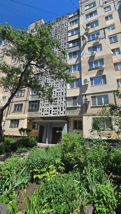 Люстдорфская дорога, ближе к 7-й Черноморской
Локация, которая всегда