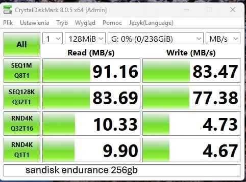 SanDisk High Endurance microSDXC 256 GB V30