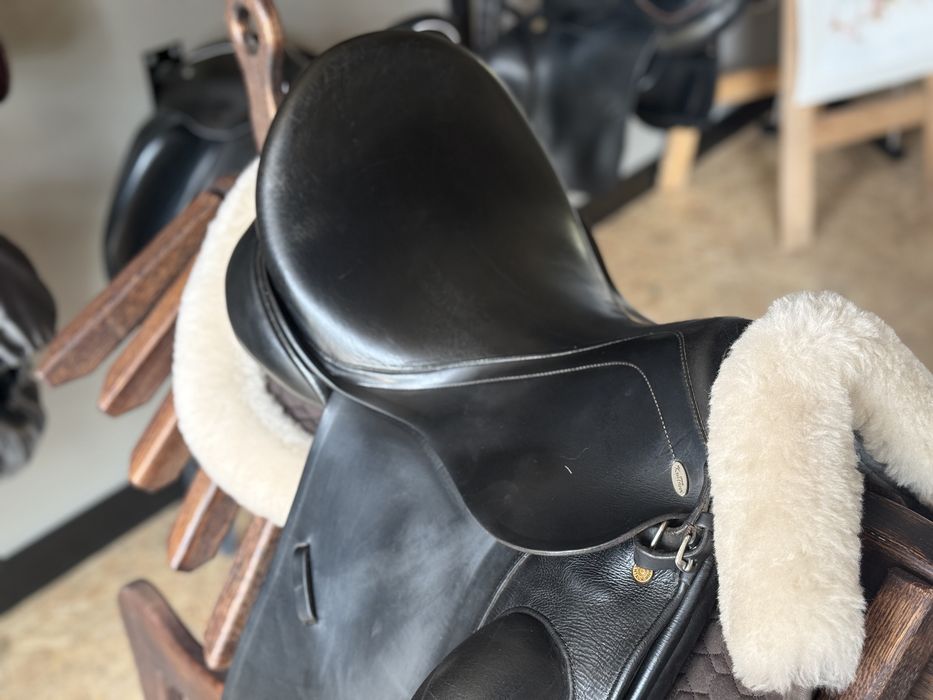 108. Kentaur Andromeda Dressage 17,5” / 33