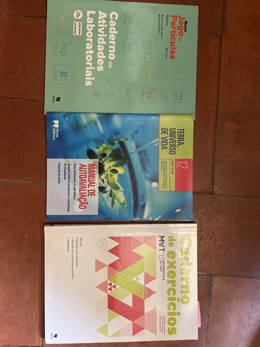 Cadernos actividades 12 ano