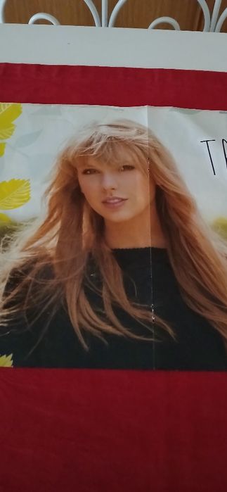 Poster Taylor Swift/David Carreira
