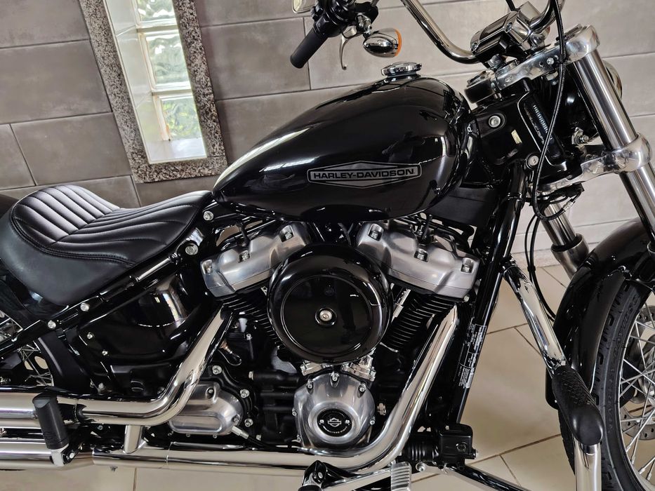 Harley Davidson softail