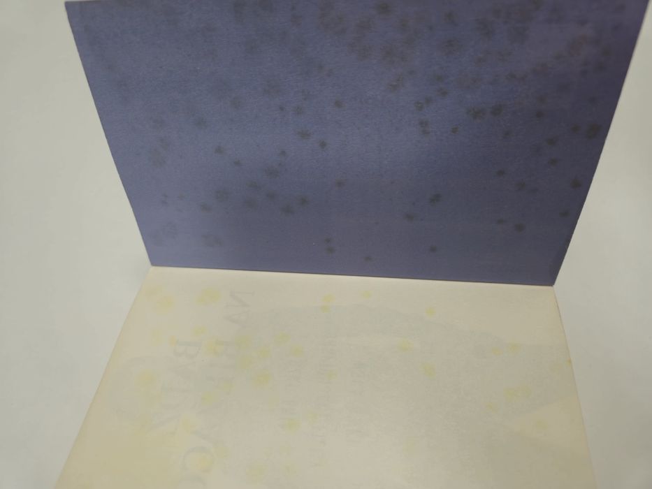 Umysł milionera Dawid Piatkowski