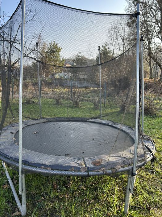 Батут Maxx pro.