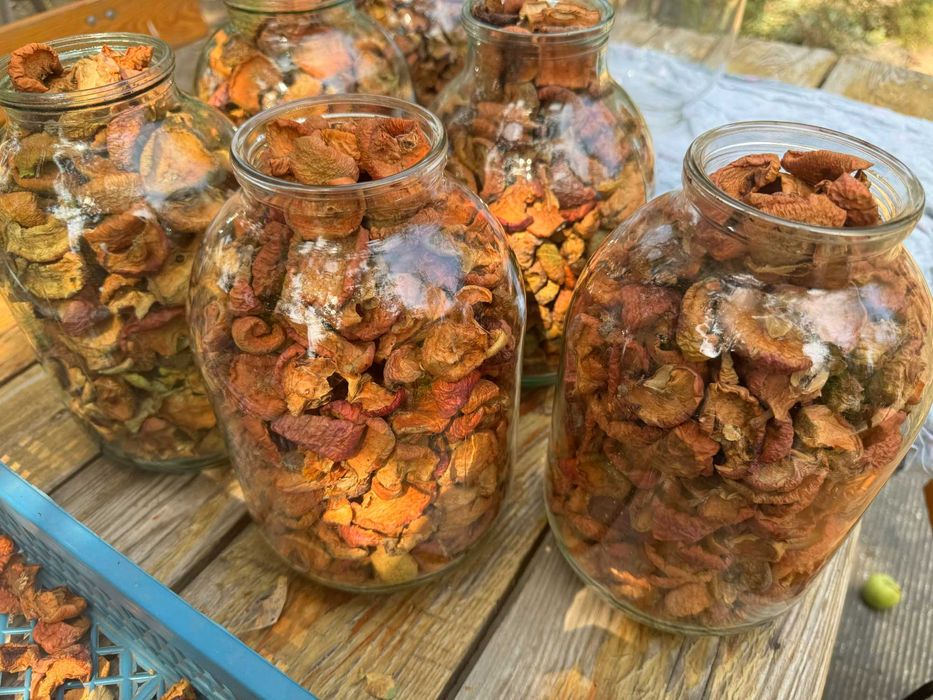 Яблоки сушеные, сушка яблоко груша, сухофрукты, компотная смесь, узвар